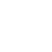 Sonstige Icon